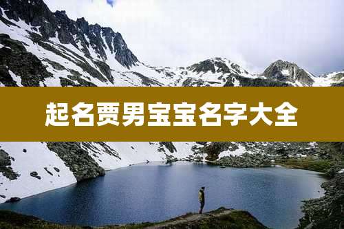 起名贾男宝宝名字大全