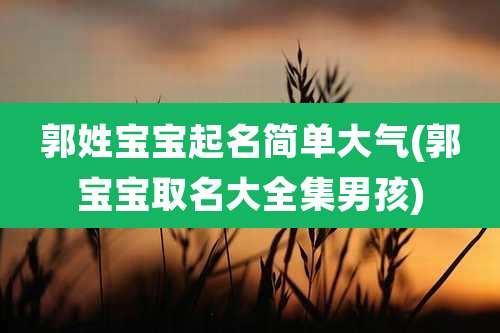 郭姓宝宝起名简单大气(郭宝宝取名大全集男孩)