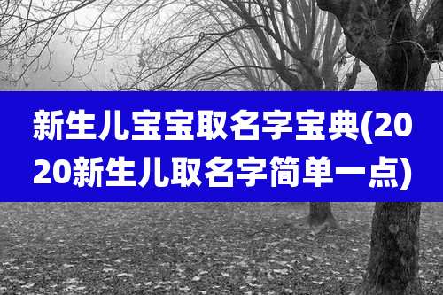 新生儿宝宝取名字宝典(2020新生儿取名字简单一点)