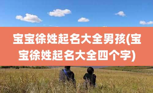 宝宝徐姓起名大全男孩(宝宝徐姓起名大全四个字)