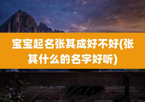 宝宝起名张其成好不好(张其什么的名字好听)