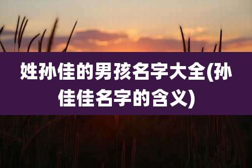姓孙佳的男孩名字大全(孙佳佳名字的含义)