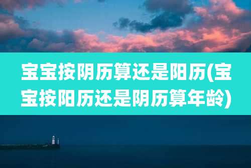 宝宝按阴历算还是阳历(宝宝按阳历还是阴历算年龄)