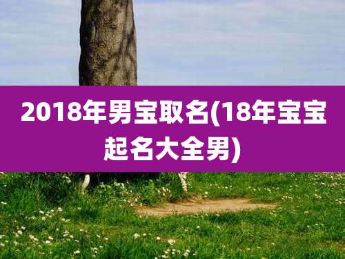 2018年男宝取名(18年宝宝起名大全男)