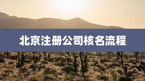 北京注册公司核名流程