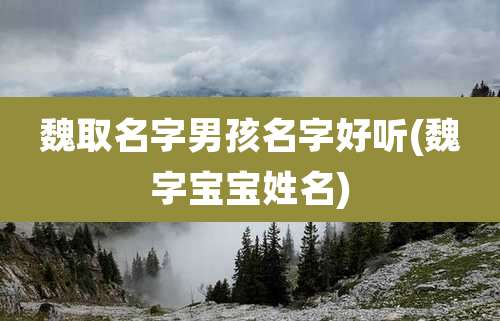 魏取名字男孩名字好听(魏字宝宝姓名)