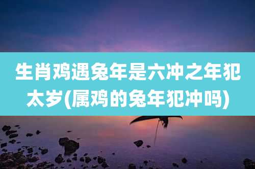 生肖鸡遇兔年是六冲之年犯太岁(属鸡的兔年犯冲吗)