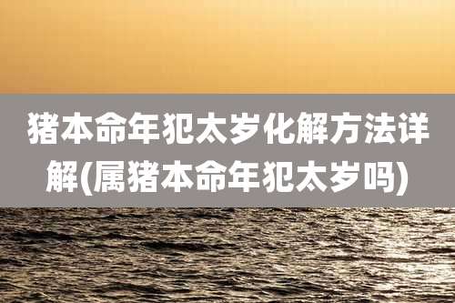 猪本命年犯太岁化解方法详解(属猪本命年犯太岁吗)