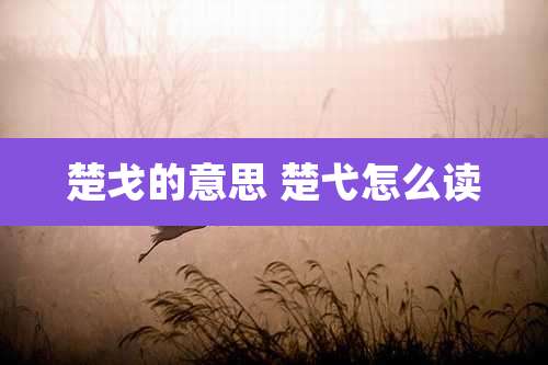 楚戈的意思 楚弋怎么读