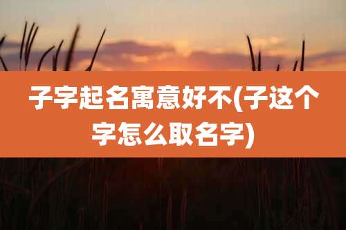 子字起名寓意好不(子这个字怎么取名字)