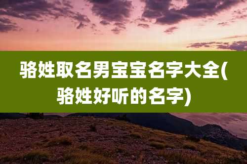 骆姓取名男宝宝名字大全(骆姓好听的名字)