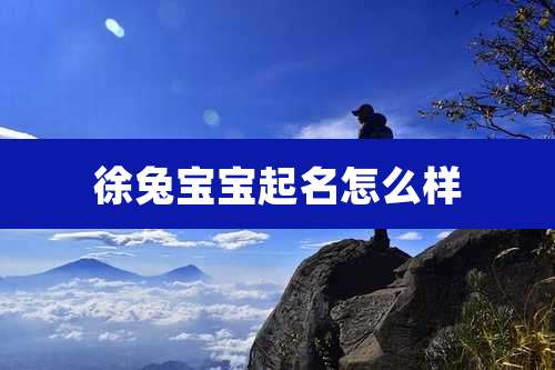 徐兔宝宝起名怎么样