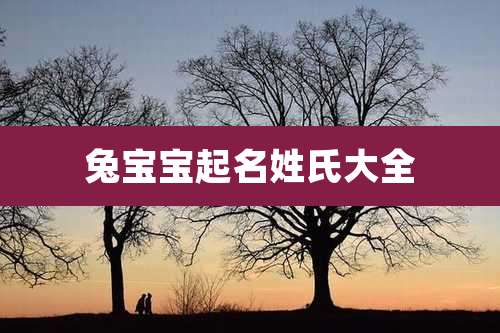 兔宝宝起名姓氏大全