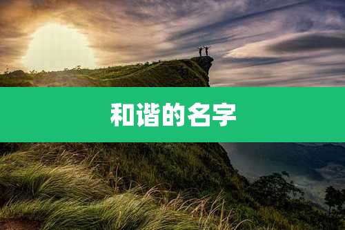 和谐的名字