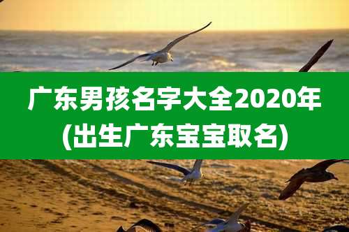 广东男孩名字大全2020年(出生广东宝宝取名)