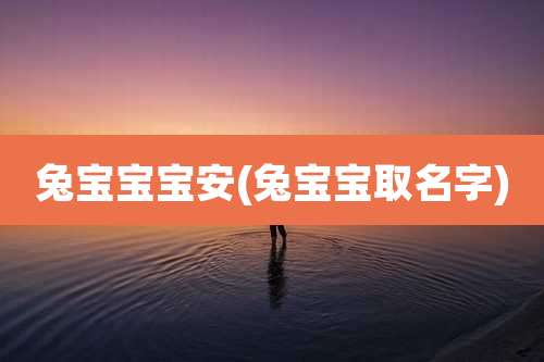 兔宝宝宝安(兔宝宝取名字)