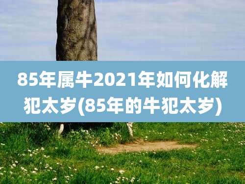 85年属牛2021年如何化解犯太岁(85年的牛犯太岁)