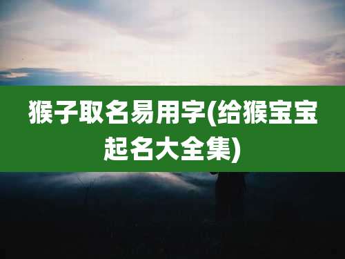 猴子取名易用字(给猴宝宝起名大全集)