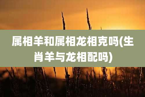 属相羊和属相龙相克吗(生肖羊与龙相配吗)