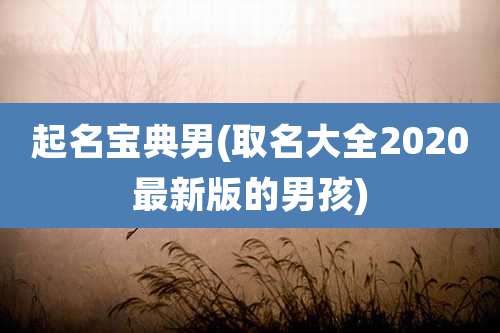 起名宝典男(取名大全2020最新版的男孩)