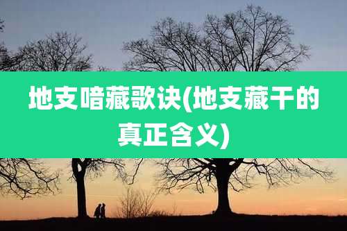 地支喑藏歌诀(地支藏干的真正含义)