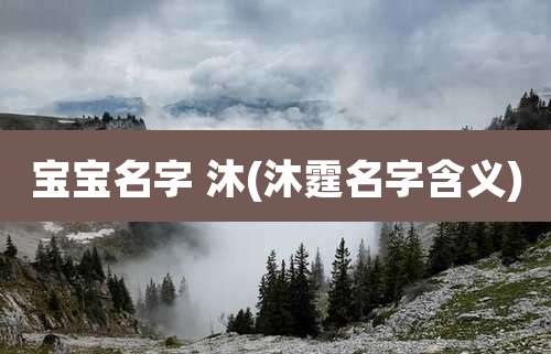 宝宝名字 沐(沐霆名字含义)