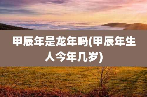 甲辰年是龙年吗(甲辰年生人今年几岁)