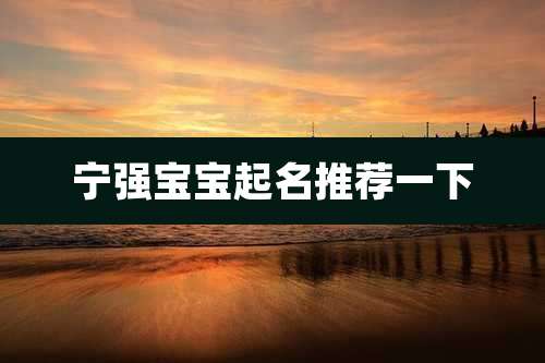 宁强宝宝起名推荐一下