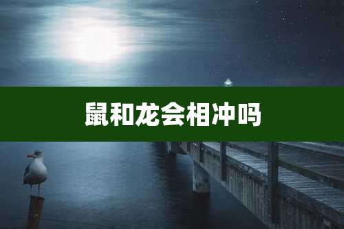 鼠和龙会相冲吗