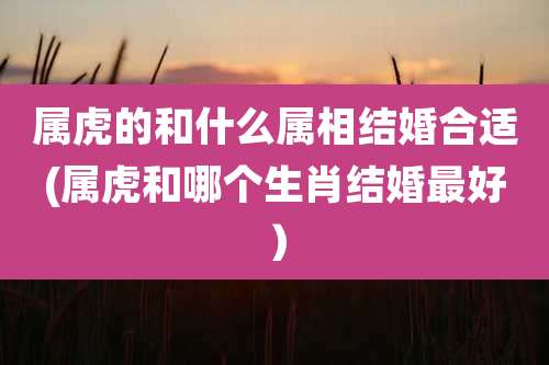 属虎的和什么属相结婚合适(属虎和哪个生肖结婚最好)