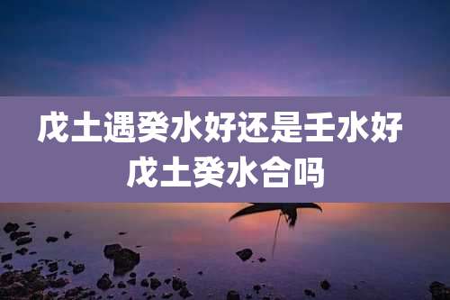 戊土遇癸水好还是壬水好 戊土癸水合吗
