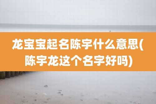 龙宝宝起名陈宇什么意思(陈宇龙这个名字好吗)
