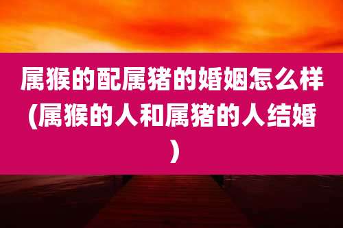 属猴的配属猪的婚姻怎么样(属猴的人和属猪的人结婚）