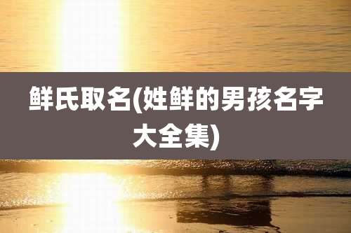 鲜氏取名(姓鲜的男孩名字大全集)