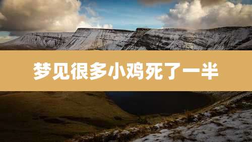 梦见很多小鸡死了一半