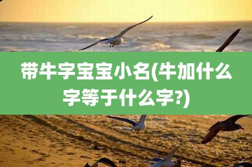 带牛字宝宝小名(牛加什么字等于什么字?)