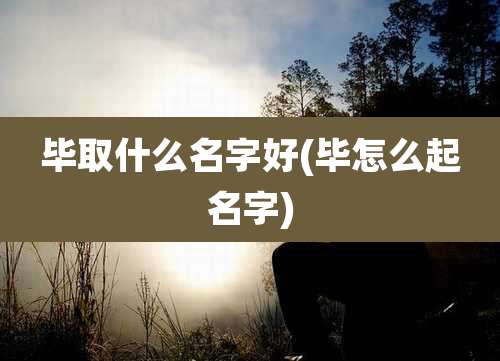 毕取什么名字好(毕怎么起名字)
