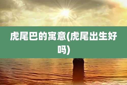 虎尾巴的寓意(虎尾出生好吗)