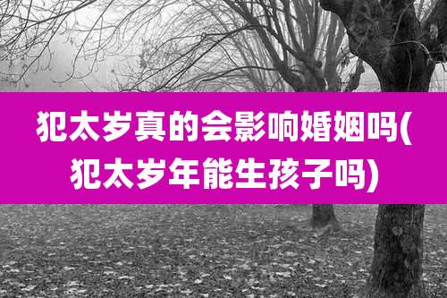 犯太岁真的会影响婚姻吗(犯太岁年能生孩子吗)