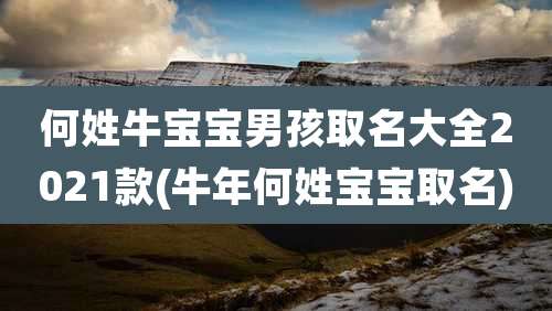何姓牛宝宝男孩取名大全2021款(牛年何姓宝宝取名)
