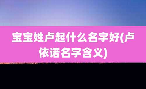 宝宝姓卢起什么名字好(卢依诺名字含义)