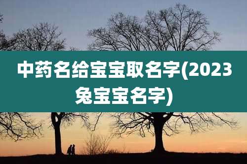 中药名给宝宝取名字(2023兔宝宝名字)