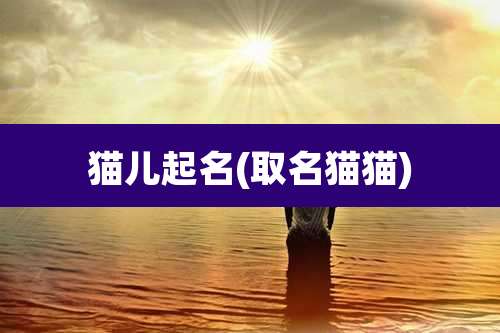 猫儿起名(取名猫猫)