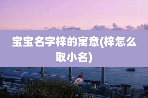 宝宝名字梓的寓意(梓怎么取小名)