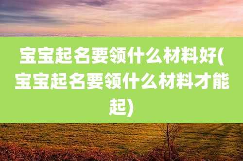 宝宝起名要领什么材料好(宝宝起名要领什么材料才能起)