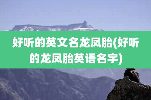 好听的英文名龙凤胎(好听的龙凤胎英语名字)
