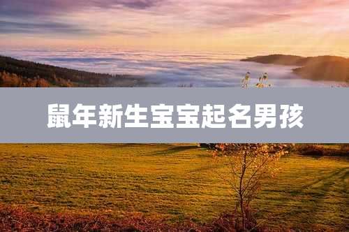 鼠年新生宝宝起名男孩
