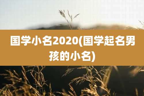 国学小名2020(国学起名男孩的小名)