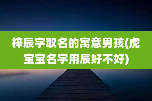 梓辰字取名的寓意男孩(虎宝宝名字用辰好不好)