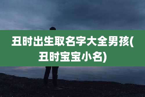 丑时出生取名字大全男孩(丑时宝宝小名)